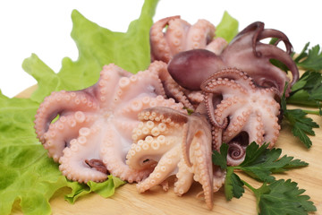 Boiled baby octopuses