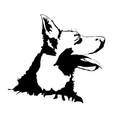 Vector silhouette of a dog.