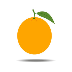 Orange Fruit Icon