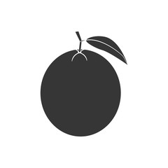 Orange Fruit Icon