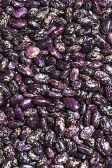 background bean seeds