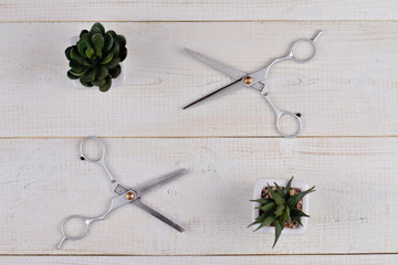 Stylish Professional Hair Cutting and Thinning Scissors on wooden background. Hairdresser salon concept. Haircut accessories, flat lay