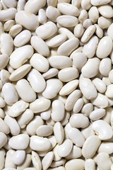 background bean seeds