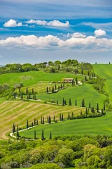 Foto auf Alu-Dibond Tuscany landscape with the curved road and cypresses © sborisov