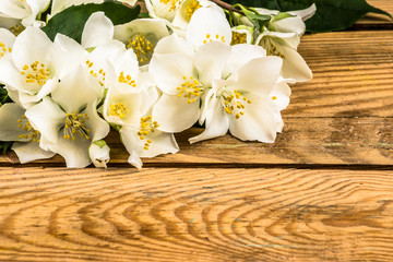 Jasmine flowers on wood background.