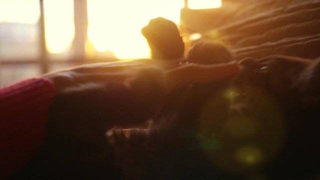 Woman plays with little kitten on a sunset background on the bed in slowmotion. Happiness. 1920x1080