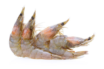 Fresh frozen prawns or shrimps isolated on white background.