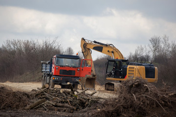 Excavator in action

