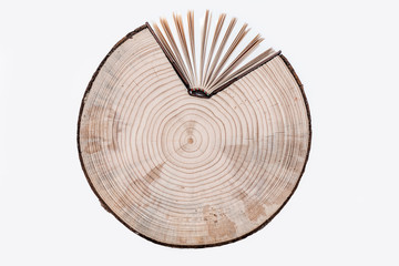 Conceptual image. Cross section of tree trunk and book on white background.