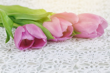 Purple tulips on a beautiful crochet tablecloth