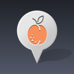 Apricot pin map icon. Fruit vector illustration