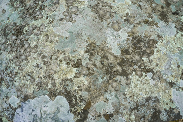 Blue Stone Color