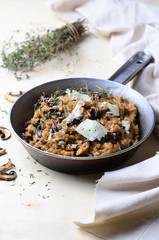 Mushroom Risotto on Vintage Pan 
