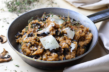Mushroom Risotto on Vintage Pan 