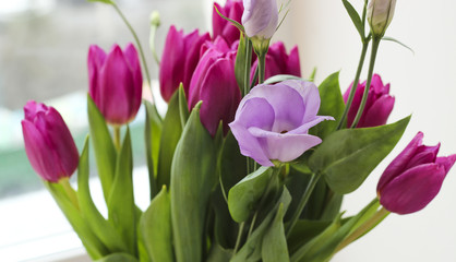 Bouquet of fresh purple tulips and eustoma flower
