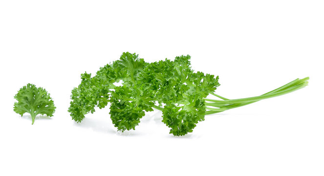 Parsley Isolated On White Background