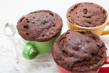 Warm chocolate cake in a mug