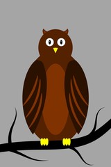 owl on a branch