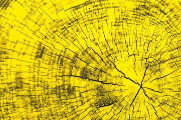Wood structure backgrounds textures. Yellow painted wood.