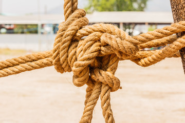 close up shot of manila rope