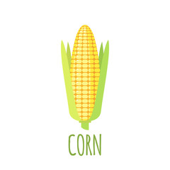 Corn icon in flat style on white background