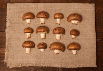 A lot of mushrooms on napkin
