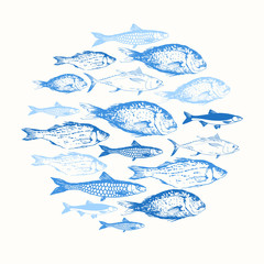 Vector illustration with sketches of fish. 