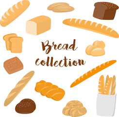 Different kinds of bread isolated on white. Flat vector collection of bakery items for print or web.
