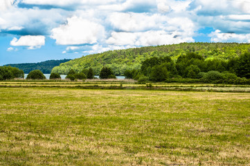 Fototapeta na wymiar Agricultural green field in the summer, landscape