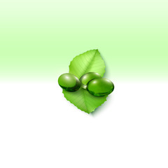 Pills isolated on green background, vector illustration