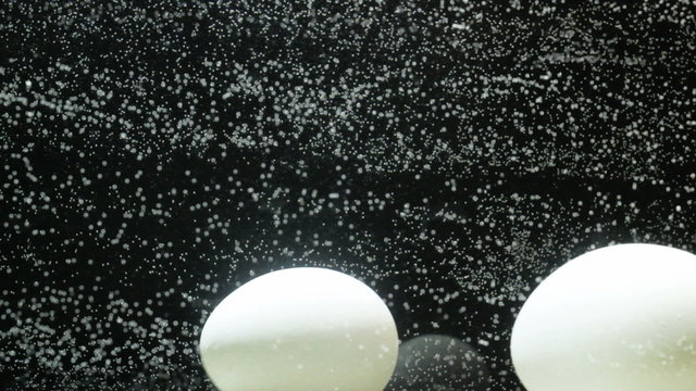 Egg in water Illuminated aquarium, bubbles  