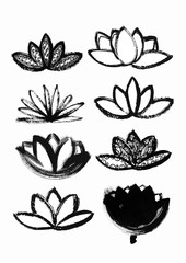 dry brush  lotus set