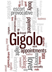 Gigolo, word cloud concept 2