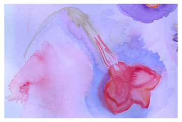 Beautiful pink flower, watercolor painting. Fragrant tobacco. Sc
