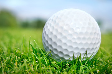 Golf ball in grass