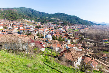 Fototapeta na wymiar High angle view of traditional town Tarakli which is a historic district in the Sakarya Province of the Marmara