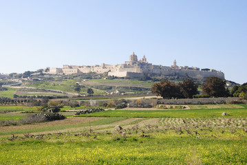 Fototapeta na wymiar View of Mdina, Malta.