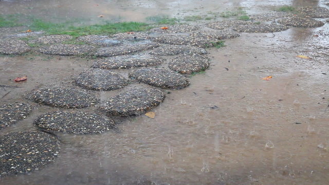 Stones path in the rain