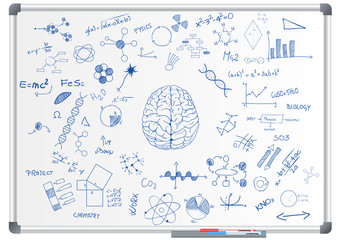 brain science chalkboard