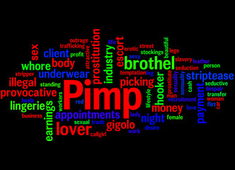 Fototapeta premium Pimp, word cloud concept 4