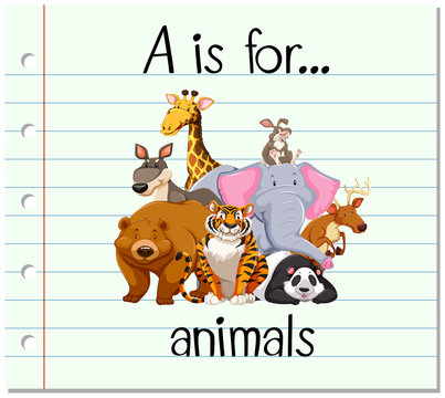 Flashcard letter A is for animals