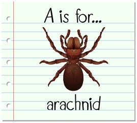 Flashcard letter A is for arachnid