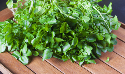 Fototapeta premium Watercress Salad Ingredient