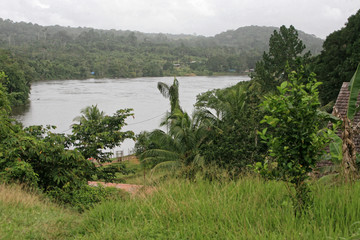 vue sur le fleuve Oyapock du village de Camopi