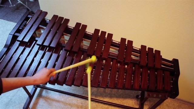 hands play on the xylophone