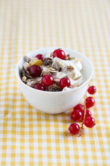 Joghurt mit Müsli und Früchten