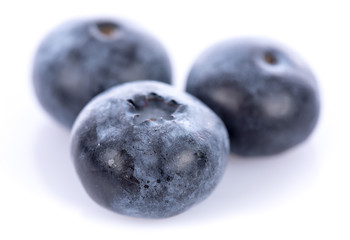 Fresh blueberries