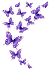 butterflies design - 105391611
