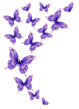 Purple Butterfly Background Images – Browse 65,512 Stock Photos, Vectors,  and Video | Adobe Stock