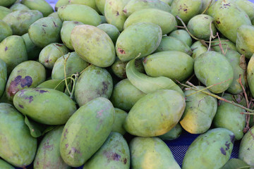 pile of fresh mango fruit.